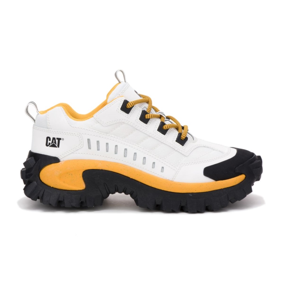 Gato Calzado Intruso Zapato Blanco-amarillo