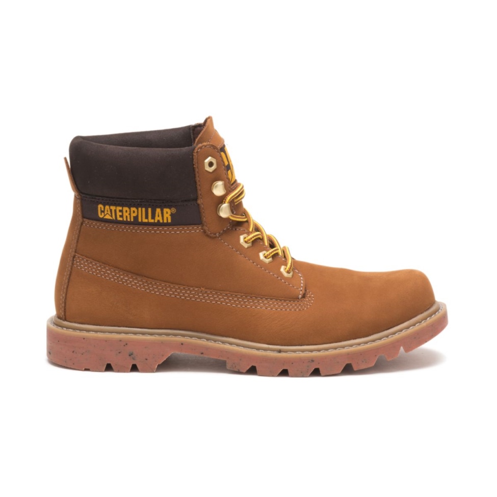 Gato Calzado Ecolorado Bota Taffy